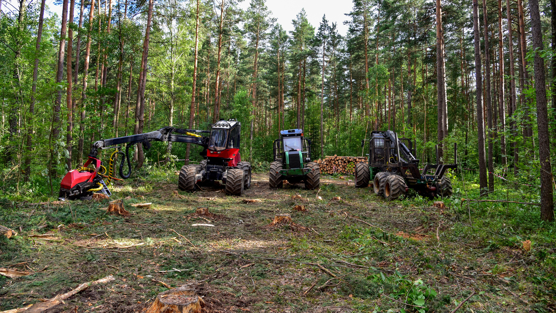 Skogsmaskiner i skogen