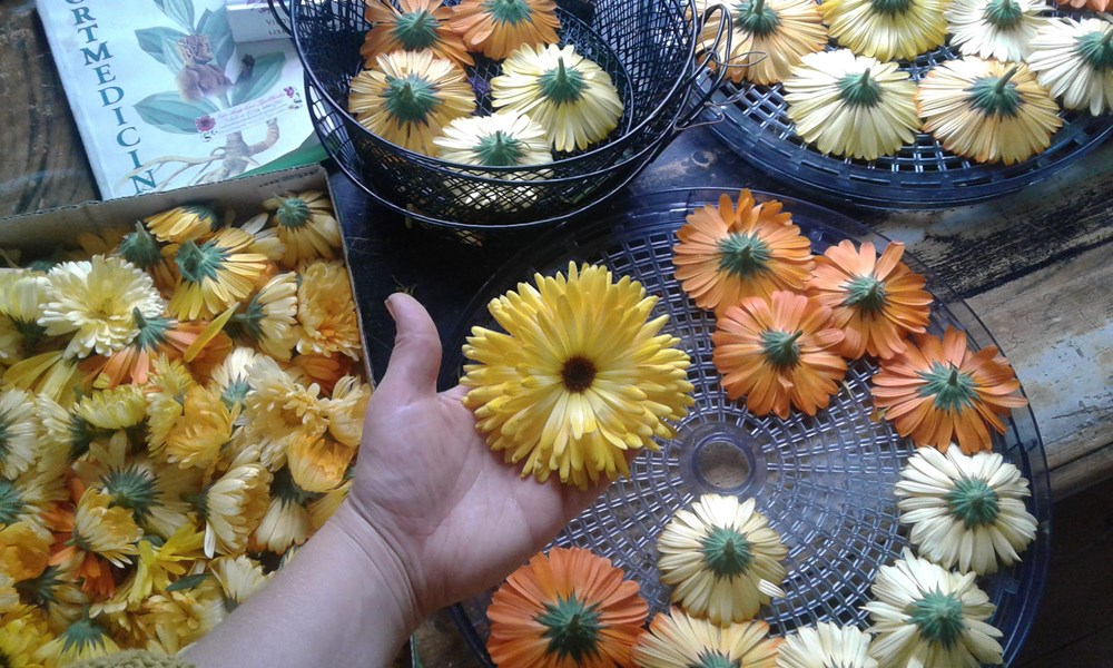Högar och korgar fyllda med orange och gula blommor.