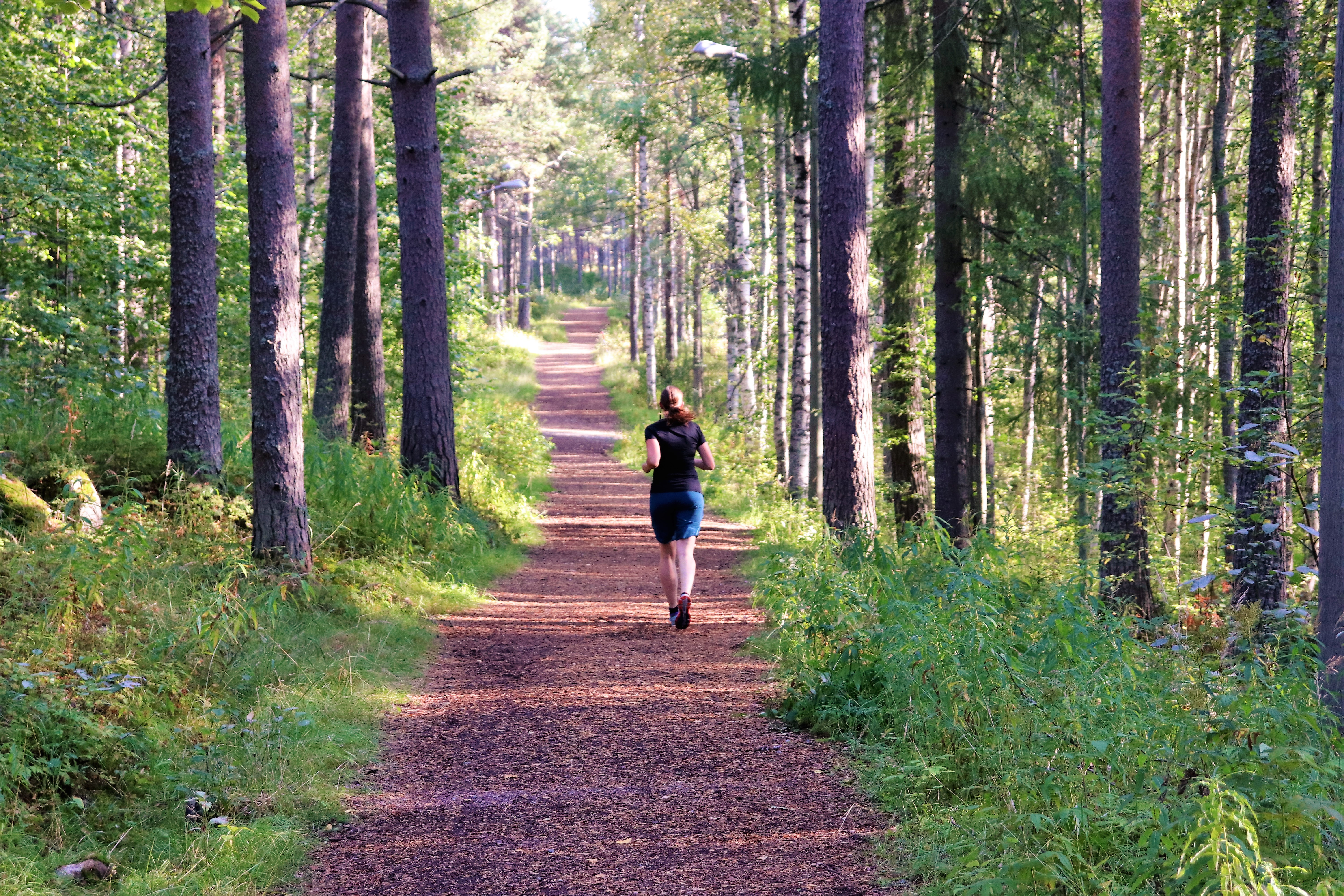 En person springer på en stig i skogen